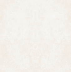 ARIMAN Bone Matt – Carrelage 60×60 cm en 8mm, finition mate rectifiée - Prix au m²